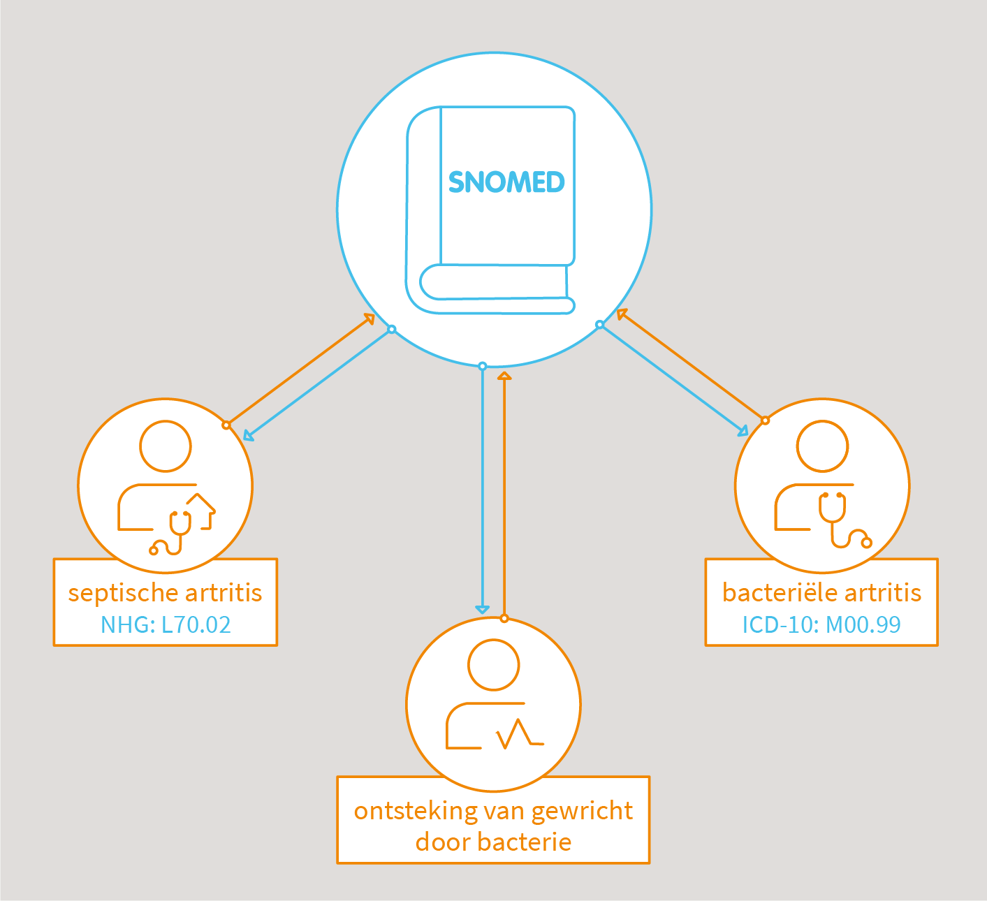 Schema van SNOMED die leidt naar septische artritis, ontsteking van gewricht door bacterie, en bacteriële artitis