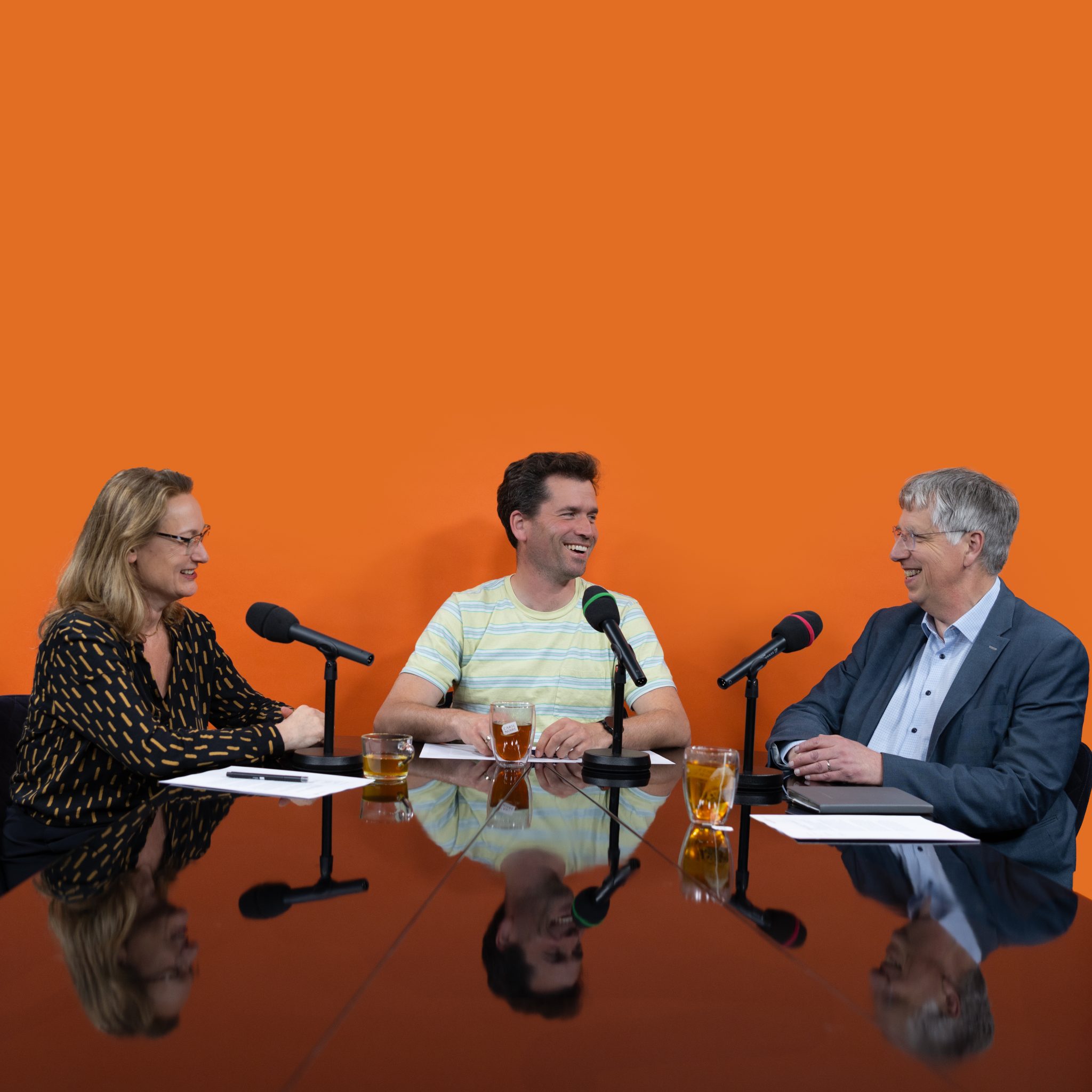 Stelselregie en -beheer zorgen voor samenhang in het gezondheidsinformatiestelsel